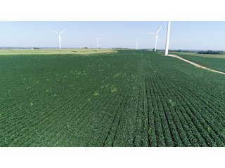 Bureau County, Illinois farmland - LAND AND WIND RIGHTS AUCTION - 337+/- ACRES IN 4 TRACTS IN BUREAU COUNTY, ILLINOIS